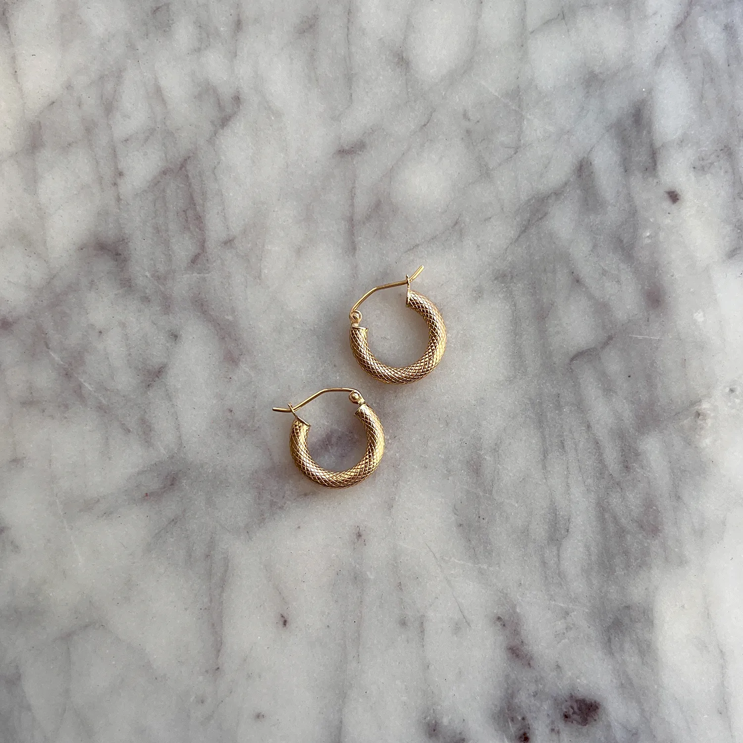 Serpentine Hoop Earrings